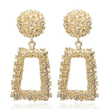 Load image into Gallery viewer, Showy Earrings